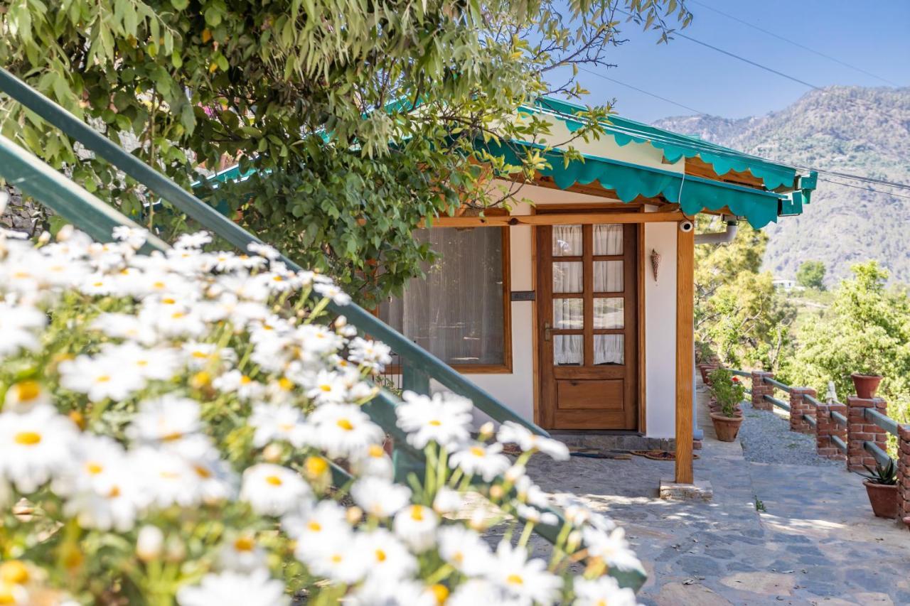 Seclude Ramgarh Willows Ngoại thất bức ảnh